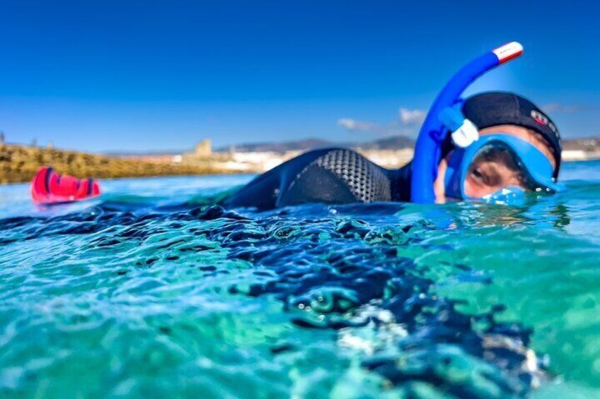 Guided snorkeling activity on the Island of Tarifa