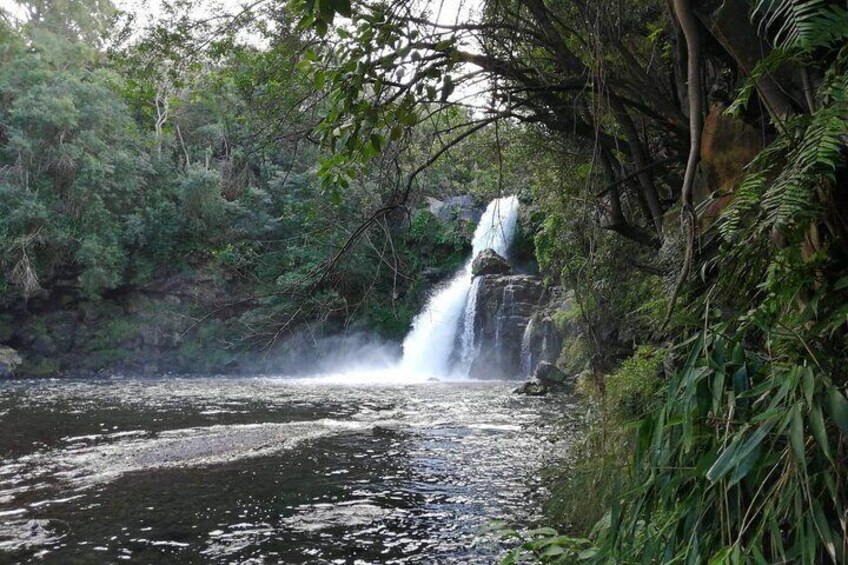 Discovery Day of La Réunion, sublime beaches, sumptuous landscapes