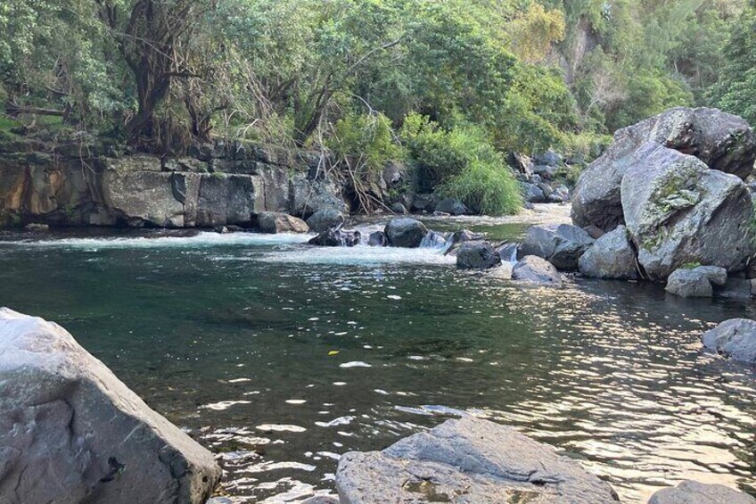 Discovery Day of La Réunion, sublime beaches, sumptuous landscapes