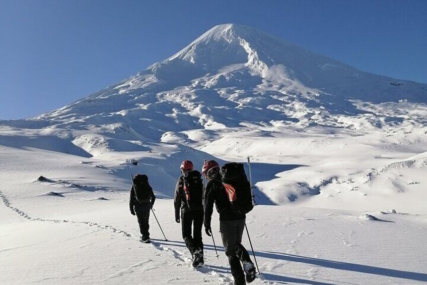 Winter ascent to the Llaima volcano