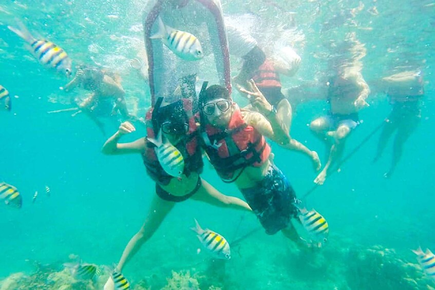 Picture 9 for Activity Cartagena: Snorkel, Mangroves and Playa Blanca Tour