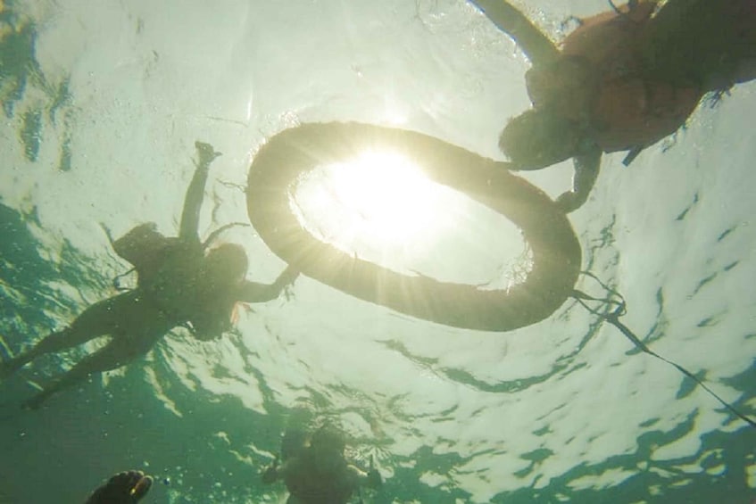 Picture 17 for Activity Cartagena: Snorkel, Mangroves and Playa Blanca Tour