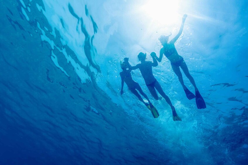 Picture 1 for Activity Cartagena: Snorkel, Mangroves and Playa Blanca Tour