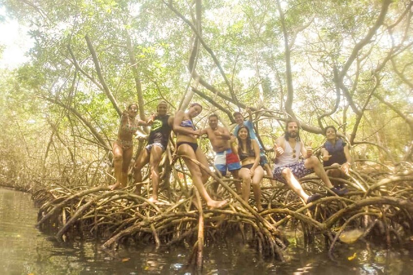 Picture 10 for Activity Cartagena: Snorkel, Mangroves and Playa Blanca Tour