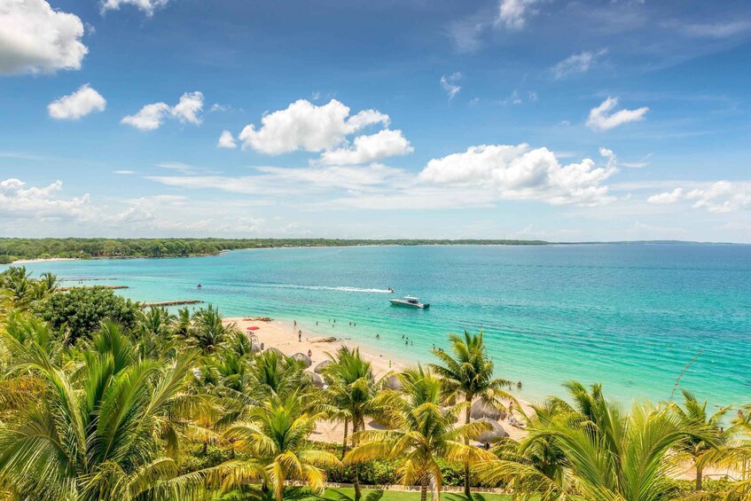 Picture 2 for Activity Cartagena: Snorkel, Mangroves and Playa Blanca Tour