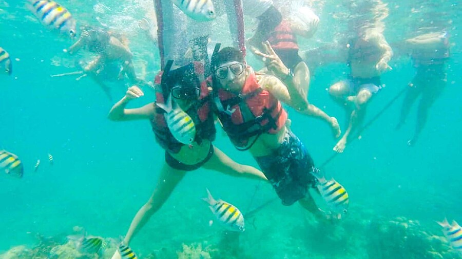 Picture 9 for Activity Cartagena: Snorkel, Mangroves and Playa Blanca Tour