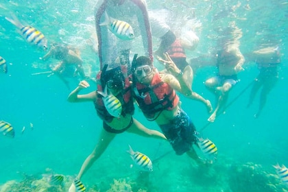 Cartagena: Schnorcheln, Mangroven und Playa Blanca Tour