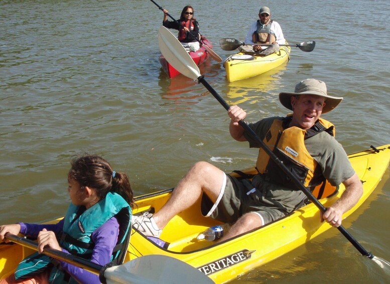 Everglades National Park 3-Hour Kayak Eco Tour