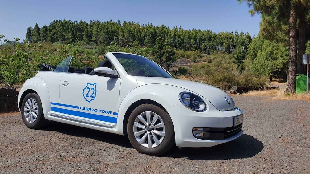 Picture 22 for Activity Gran Canaria: Convertible Beetle Tour