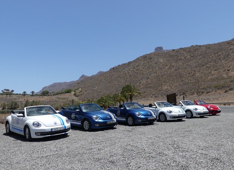 Picture 24 for Activity Gran Canaria: Convertible Beetle Tour