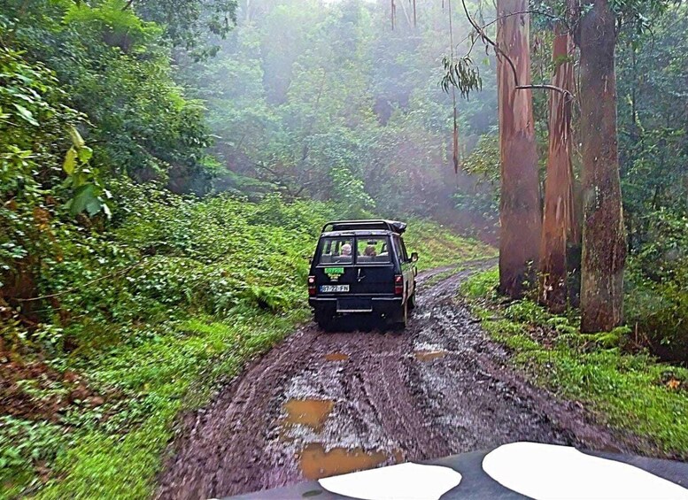 Picture 4 for Activity From Funchal: Full-Day Jeep Safari Tour