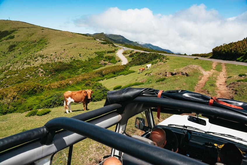 Picture 8 for Activity From Funchal: Full-Day Jeep Safari Tour