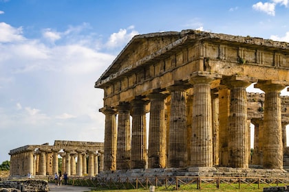 Campània: Artecard 3 - 7 dies o Gold/Lite 365 City Pass