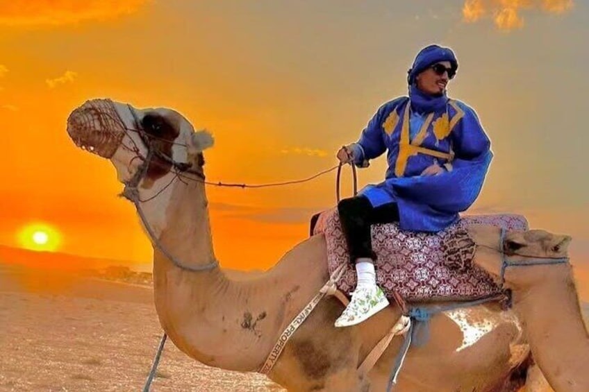 Marrakech Desert Tour & Sunset Camel Ride with Dinner Show