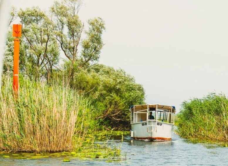 Picture 7 for Activity Lake Skadar Guided Tour: Discover the Montenegrin Alcatraz