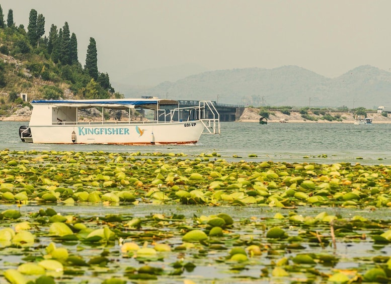 Picture 9 for Activity Lake Skadar Guided Tour: Discover the Montenegrin Alcatraz