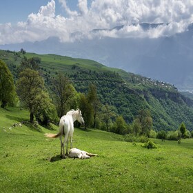 Erevan: équitation d'une journée dans la région luxuriante de Lori