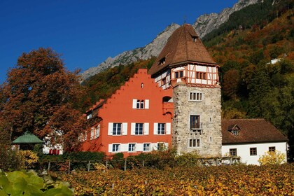 Vaduz: City Train Tour