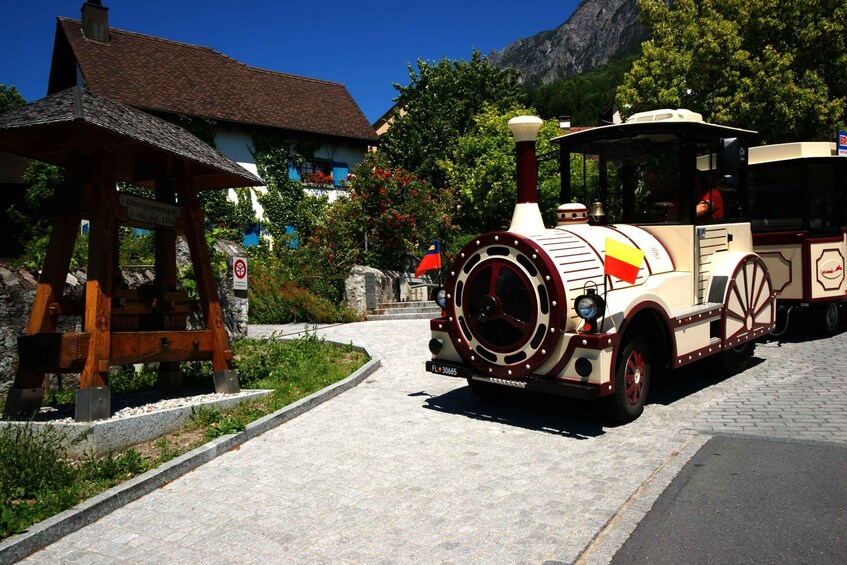 Picture 8 for Activity Vaduz: City Train Tour