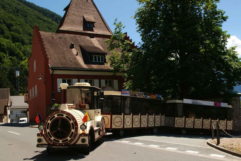 Picture 2 for Activity Vaduz: City Train Tour