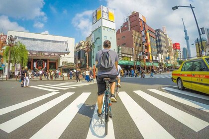 Tokio: Begeleide fietstour met gids en lunch