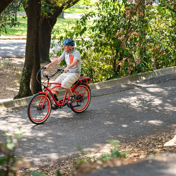 Picture 9 for Activity Nice: E-Bike City Highlights Tour
