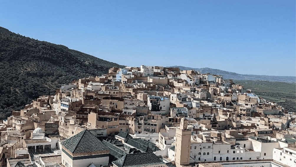 Picture 20 for Activity From Fes: Meknes Volubilis and Moulay Idriss Day Trip
