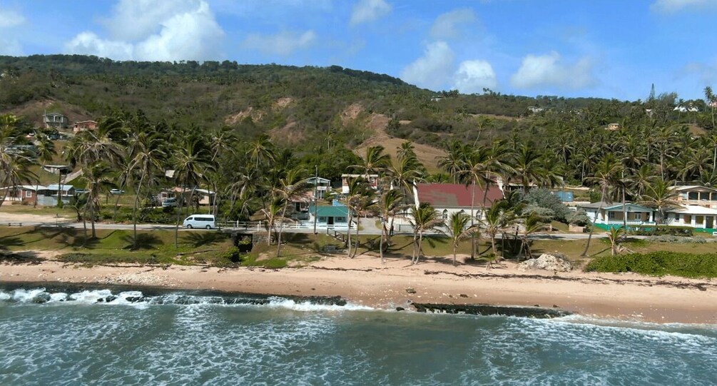 Picture 8 for Activity Barbados: Island Tour with Animal Flower Cave and Lunch