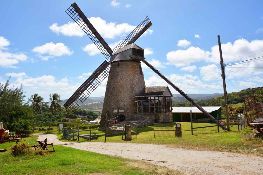 Picture 2 for Activity Barbados: Island Tour with Animal Flower Cave and Lunch