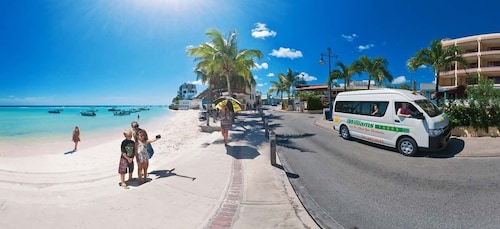 Barbados: Inselrundfahrt mit Tierblumenhöhle und Mittagessen