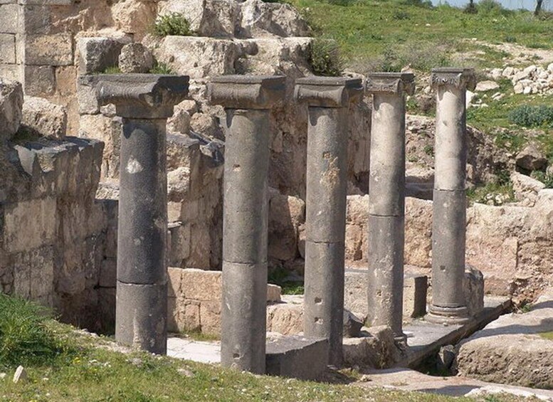 Picture 4 for Activity Jerash and Umm Qais Private Tour from Amman