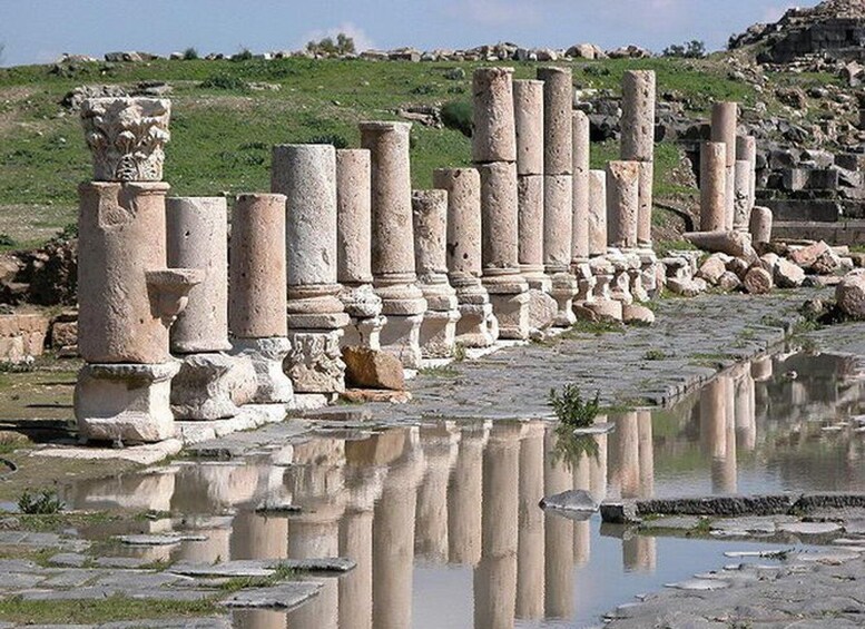 Picture 3 for Activity Jerash and Umm Qais Private Tour from Amman