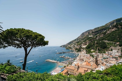 Desde Sorrento/Nerano: Excursión en barco por Amalfi y Positano