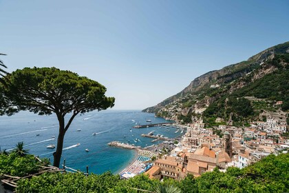 Desde Sorrento/Nerano: recorrido en barco por Amalfi y Positano