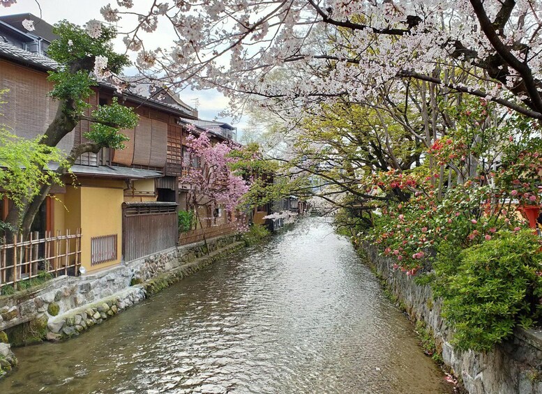 Picture 20 for Activity Kyoto/Kobe/Osaka: Arashiyama and Fushimi Inari Private Tour