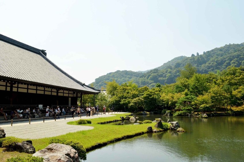 Picture 2 for Activity Kyoto/Kobe/Osaka: Arashiyama and Fushimi Inari Private Tour