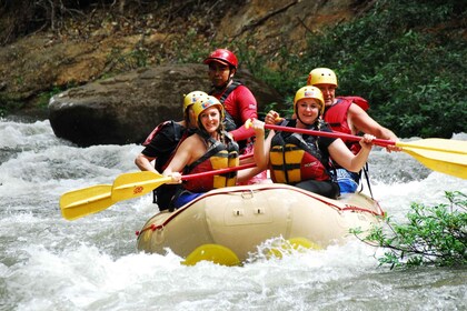 Guancaste: Rafting i elven Tenorio