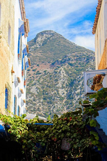 Picture 12 for Activity From Tangier: Day Trip to Chefchaouen and Tetouan