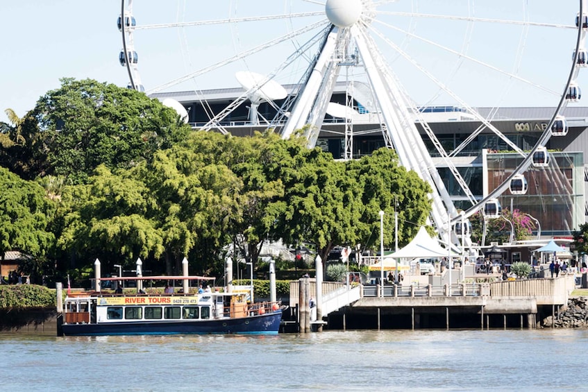 Picture 7 for Activity Brisbane: River Cruise with Lunch