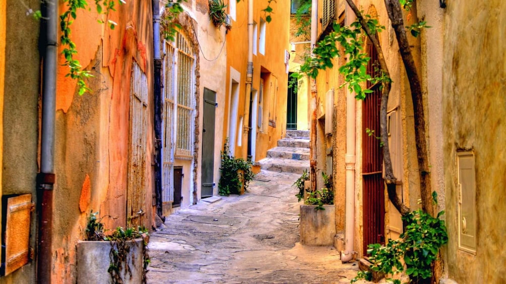 Picture 6 for Activity From Nice: Saint-Tropez and Port Grimaud Full-Day Tour