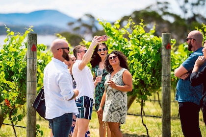 Hobart: Excursión de un día a las mejores bodegas de Tasmania con catas