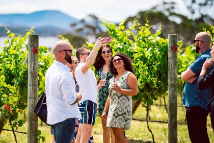 Hobart: Hobart: Top Tasmanian Wineries Day Tour maisteluineen.