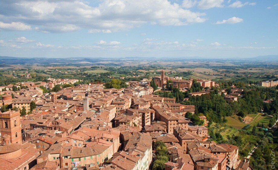 Picture 14 for Activity Siena: Palio Walking Tour