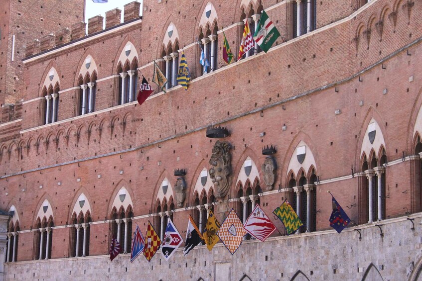 Picture 2 for Activity Siena: Palio Walking Tour