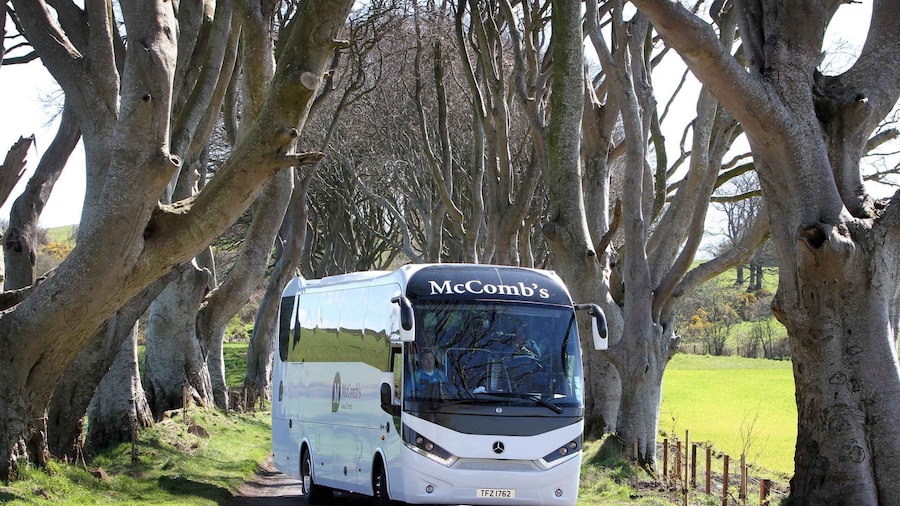 Game of Thrones and Giant's Causeway Day Tour from Belfast