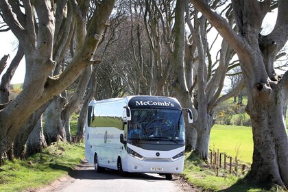 Tour di Game of Thrones e Giant's Causeway da Belfast