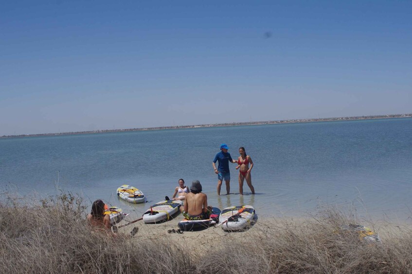 Picture 5 for Activity Djerba: Stand Up Paddle