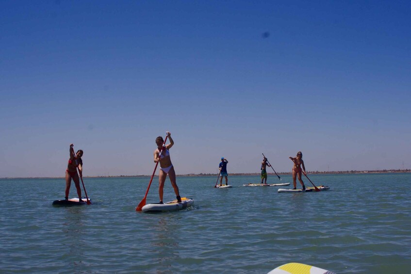 Picture 3 for Activity Djerba: Stand Up Paddle