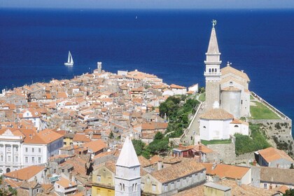 De Ljubljana : Lipica et la ville côtière de Piran