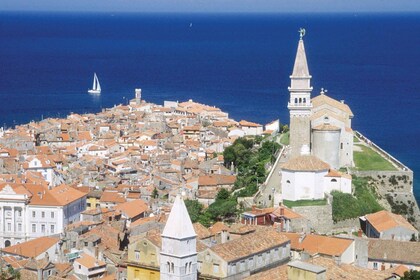 Desde Liubliana: Lipica y la ciudad costera de Piran